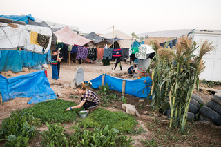 19/09/2016 - Sharya, Iraq: In Sharya approximately 3.000 people stay in informal camps all over the village.
Here seen is Najla Hussin who lives in Sharya with her parents and nine siblings since 2014.